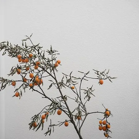 Apartment Jardim Do Embaixador Apartments By Lovelystay Lissabon